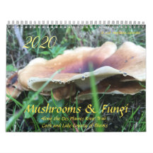 Mushrooms & Fungi 2020 Calendar