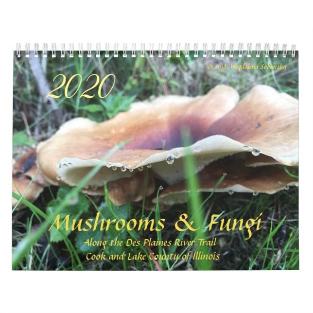 Mushrooms & Fungi 2020 Calendar (Cover)