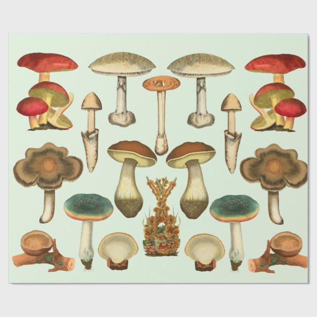  Mushrooms Fungi Plants Botanical Garden collage  Wrapping Paper (Flat)