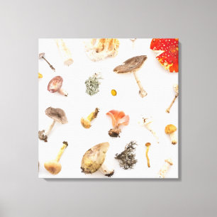 Mushrooms Fungus Canvas Print