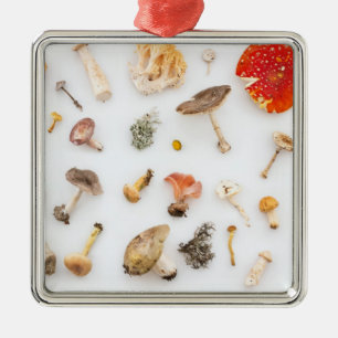 Mushrooms Fungus Metal Tree Decoration