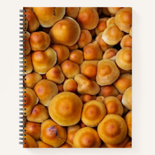 Mushrooms Fungus Notebook