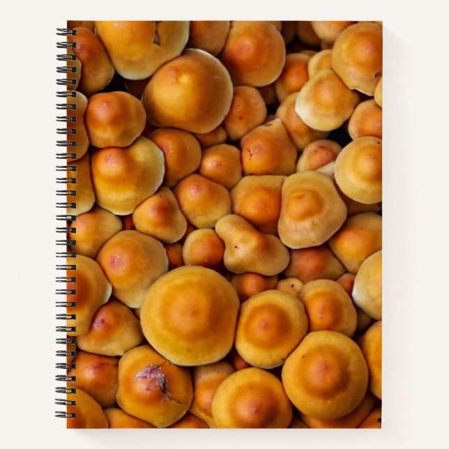 Mushrooms Fungus Notebook (Front)