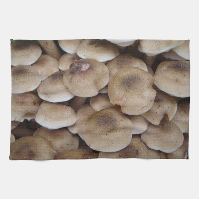 Mushrooms growing in a cluster original photo art tea towel (Horizontal)