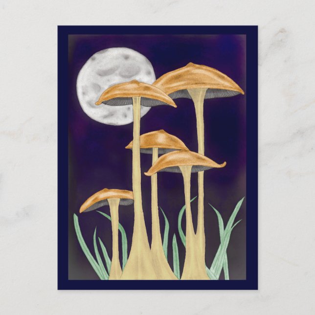 Mushrooms In Moonlight Postcard (Front)