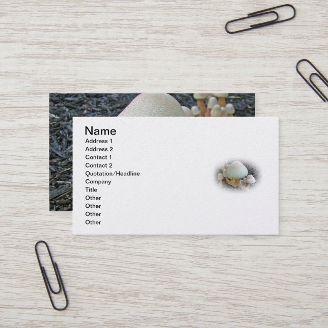 Mushrooms in Mulch - Leucoagaricus americanus Business Card (Front/Back In Situ)