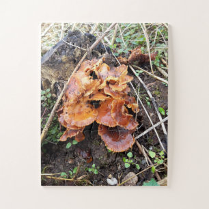 Mushrooms in the Forest Jigsaw Puzzle