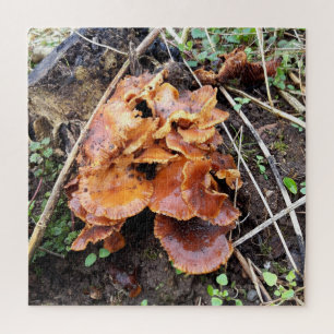 Mushrooms in the Forest Jigsaw Puzzle