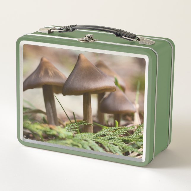Mushrooms in the Forest  Metal Lunch Box (Front)