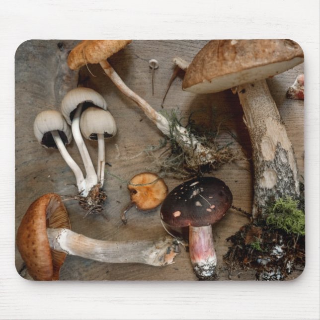 Mushrooms  Love Fungi Mouse Mat (Front)
