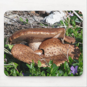 Mushrooms Mouse Mat