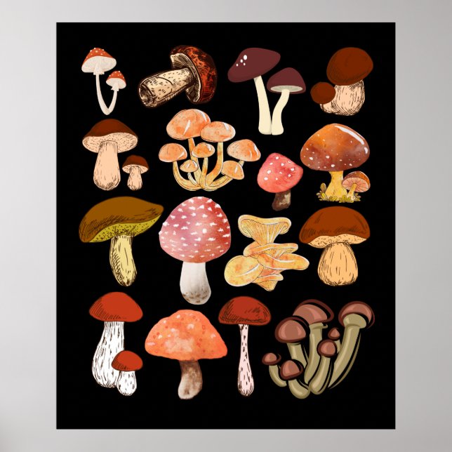 Mushrooms Mycologist botanical mushroom hunting Poster (Front)