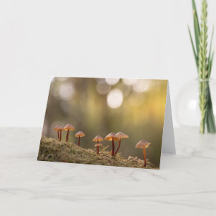Mushrooms Nature Photo Card
