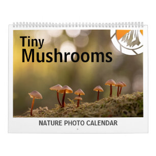 Mushrooms Nature Photos 2026 Calendar