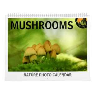 Mushrooms Nature Photos 2027 Calendar