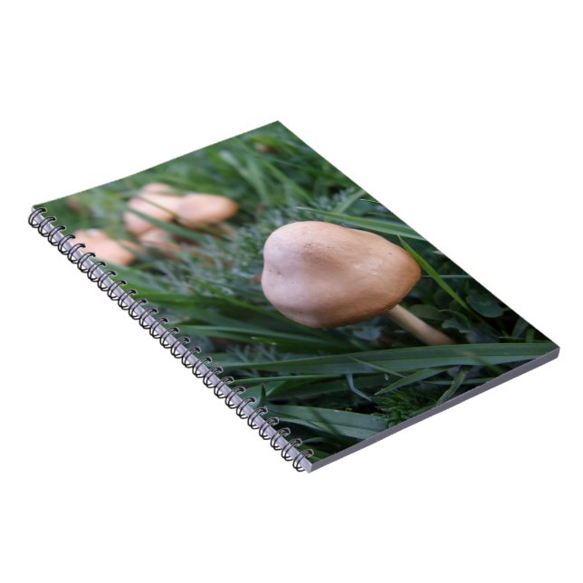 Mushrooms Notebook (Right Side)