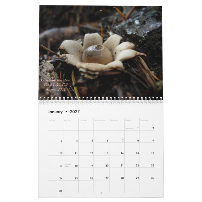 Mushrooms of Western Oregon, 2011 Calendar (Jan 2027)