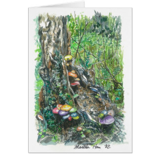 mushrooms on a decaying  tree trunk