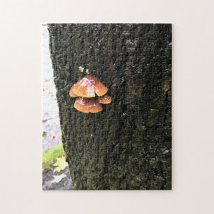 Mushrooms on a Tree, Oregon Jigsaw Puzzle