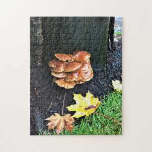 Mushrooms on a Tree, Oregon Jigsaw Puzzle
