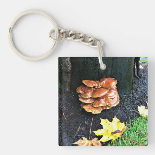 Mushrooms on a Tree, Oregon Key Ring