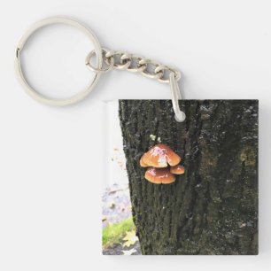 Mushrooms on a Tree, Oregon Key Ring