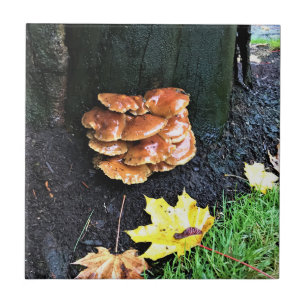 Mushrooms on a Tree, Oregon Tile
