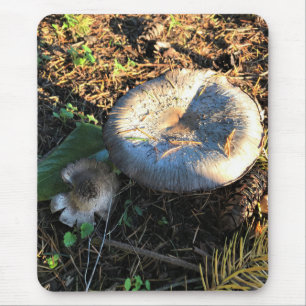 Mushrooms, Oregon Mouse Mat