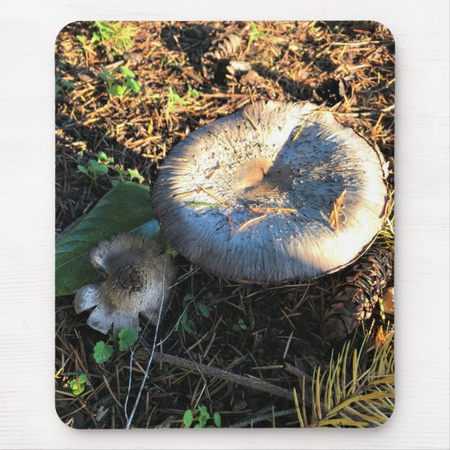 Mushrooms, Oregon Mouse Mat (Front)