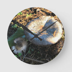 Mushrooms, Oregon Round Clock