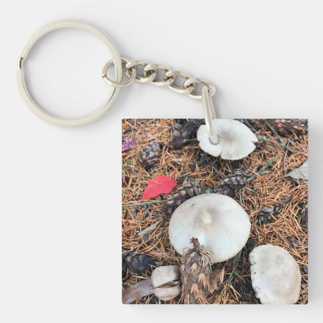 Mushrooms & Pine Cones Key Ring (Front)