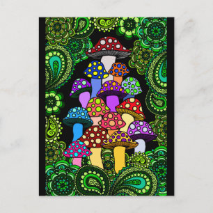 Mushrooms Postcard