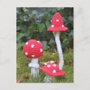 Mushrooms Postcard