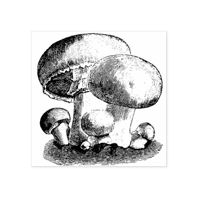 Mushrooms Rubber Stamp (Imprint)