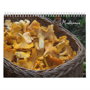 Mushrooms Scenic Fungi Foraging  Calendar