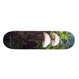 Mushrooms Skateboard