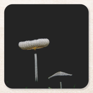 Mushrooms Square Paper Coaster