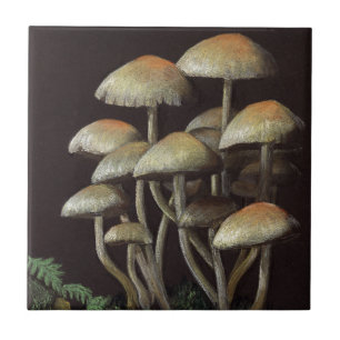 Mushrooms Tile