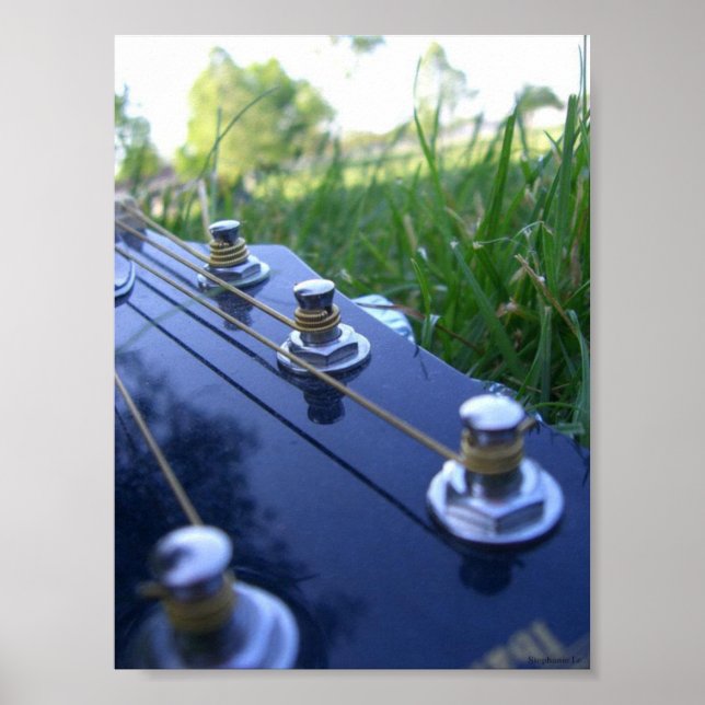 Music in Nature Poster (Front)