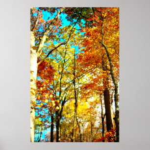 Music Is Art Rainbows Poster