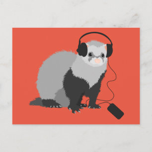 Music Lover Ferret Postcard