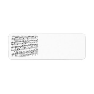 Music Major/Student/Teacher
