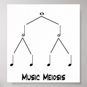 Music Meiosis Poster