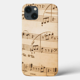 Music Notes Background iPhone 13 Case