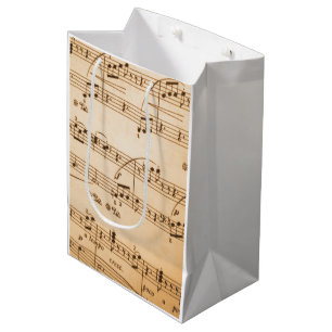 Music Notes Background Medium Gift Bag