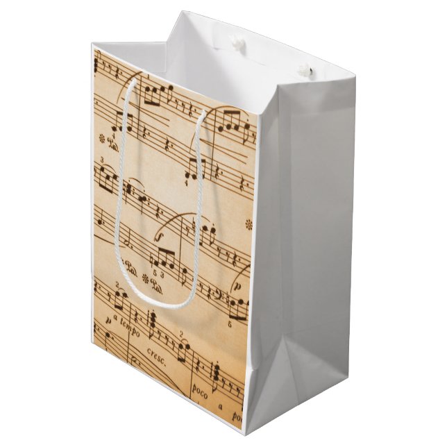 Music Notes Background Medium Gift Bag (Front Angled)