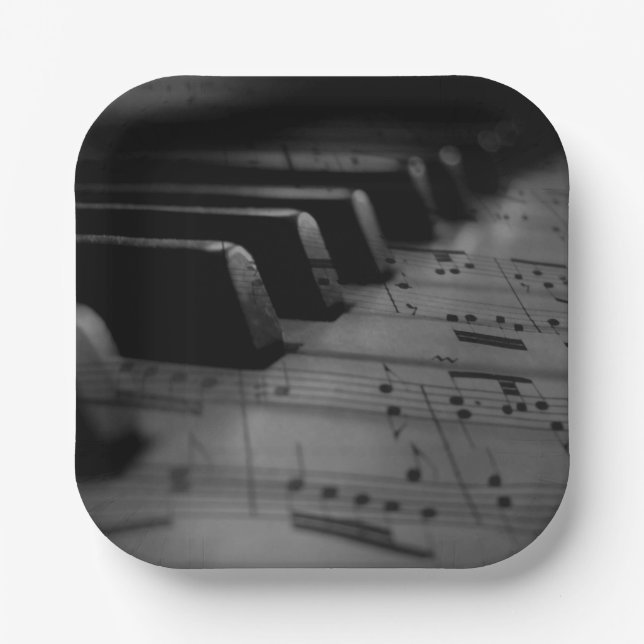  Music Piano Keys Paper Plate (Front)