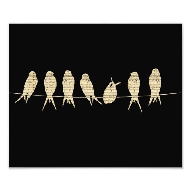 Musical Birds Photo Print (Front)