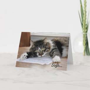 Musical Cat Birthday Song Birthday Card