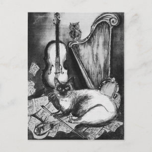 MUSICAL CAT,OWL,VIOLIN,HARP Black White Grey Music Postcard